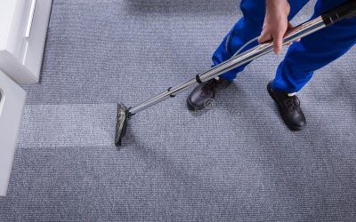 How to remove pet stain from carpet